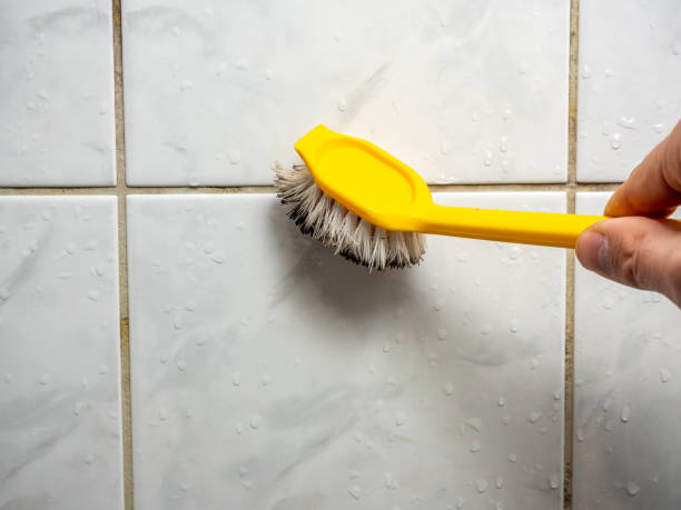 Best Mold Removal Company Near Me  in Indian Harbour Beach, FL